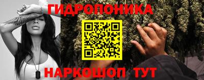 трава Можга