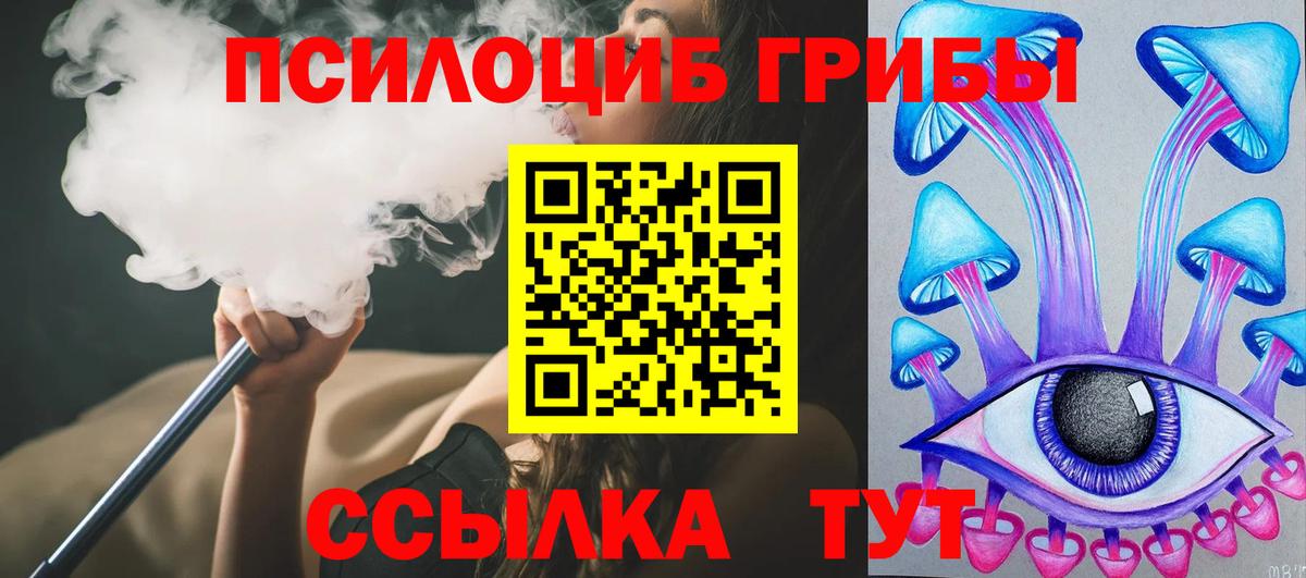 Чебоксары  Псилоцибиновые грибы GOLDEN TEACHER  Вход с VPN  Галлюциногенные грибы Cubensis 